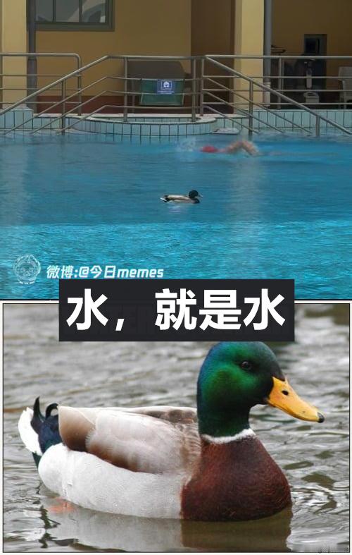 噶游 