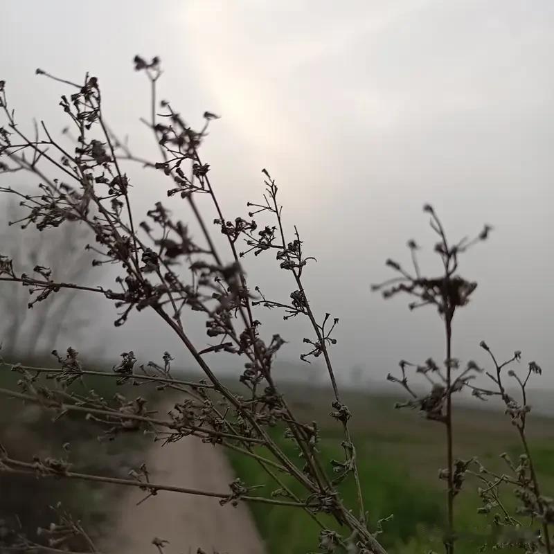 物质上的苦和精神上的苦你选哪种? 物质上的苦和精神上的苦，这真是个扎心的选择题。