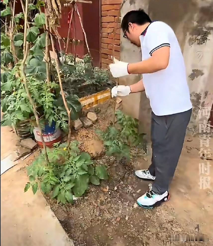 河南一男子怒了。

邻居在他家门口的空地上种菜，说了好几次都不听。一怒之下，他直