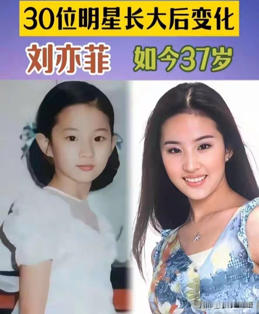 刘亦菲小时候
白   鹿小时候
杨   紫小时候
赵露思小时候
吴   磊小时候