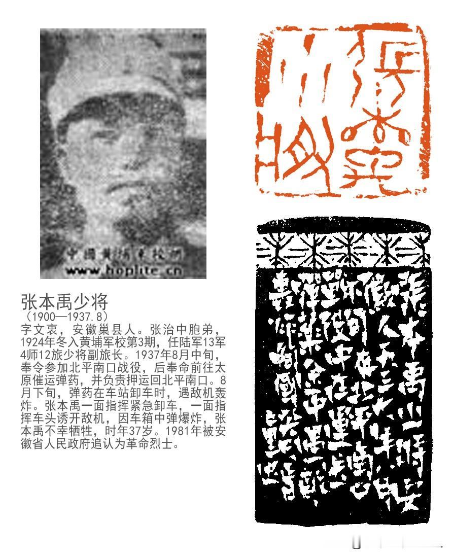 血战坂垣师团的张本禹
张本禹(1899年—1937年)，字文衷，生于巢县建麓乡洪