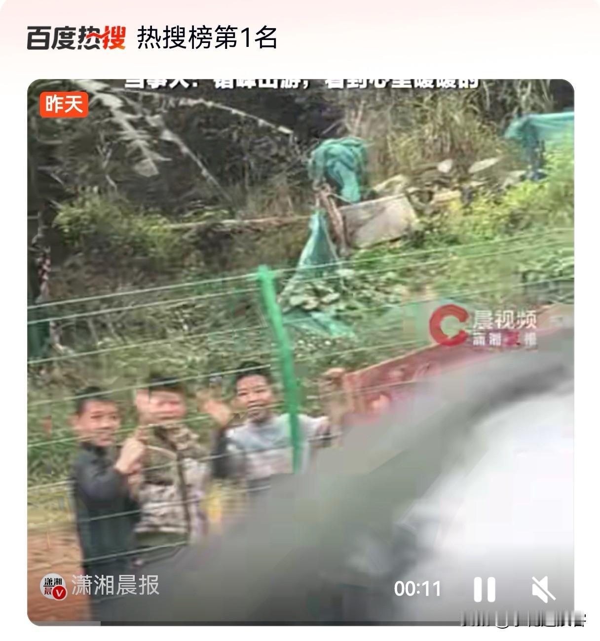 网络消息。2月22日，湛江，有一位叫“端阳”的网友发现车窗外，有几个孩子举着木牌