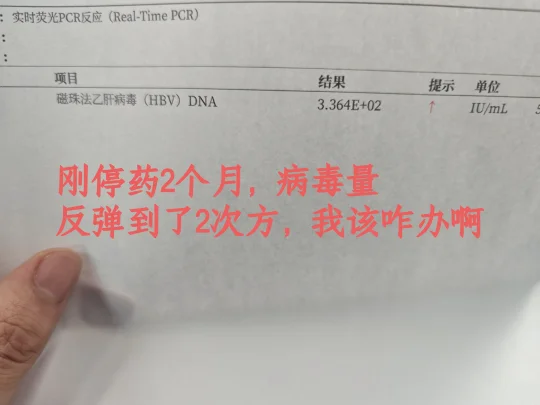 刚停药两个月，病毒量反弹到2次方，我该咋办啊?