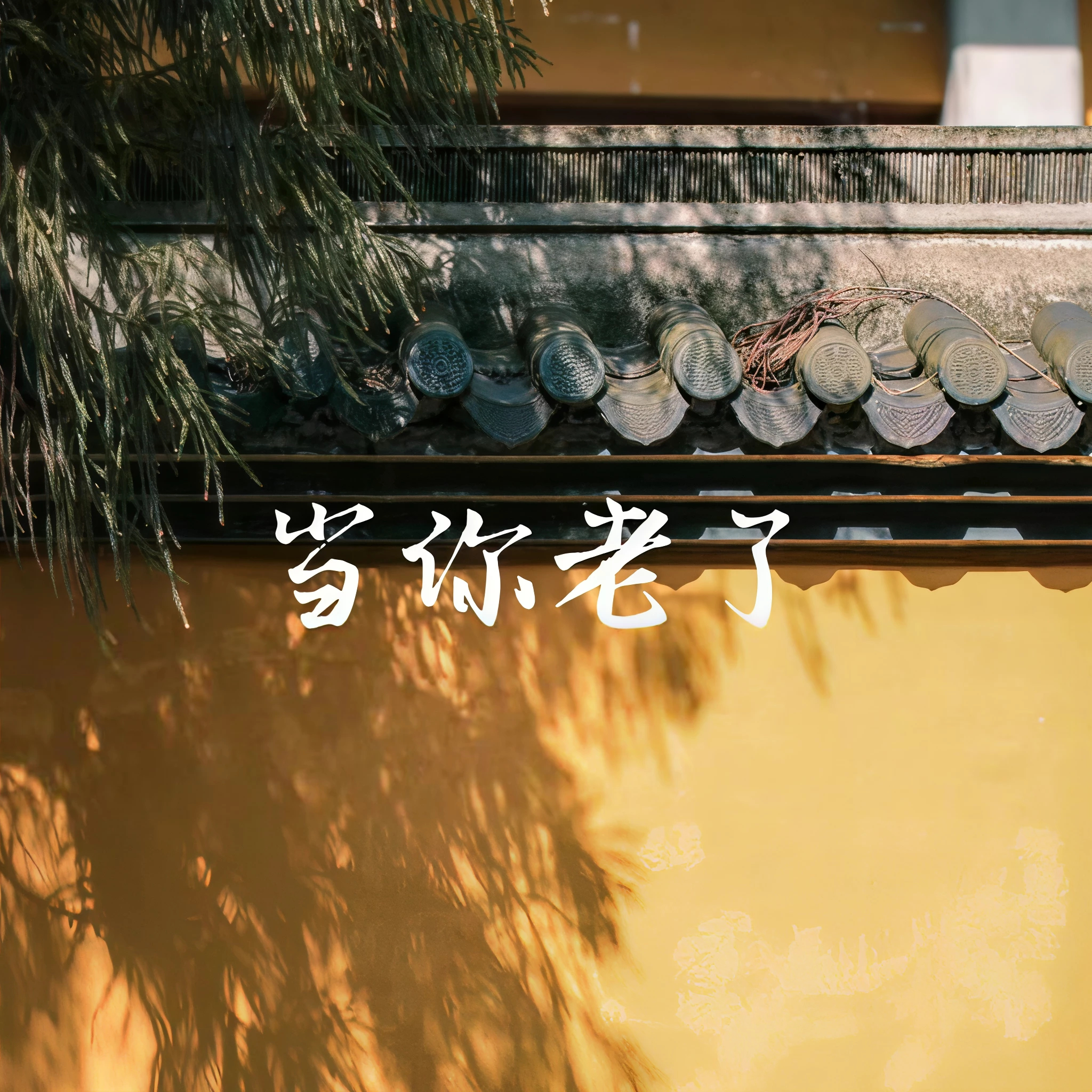 老去时愿意被现在的你所照护吗当我老子不愿意让任何人照护，原因很简单不要去麻烦别人