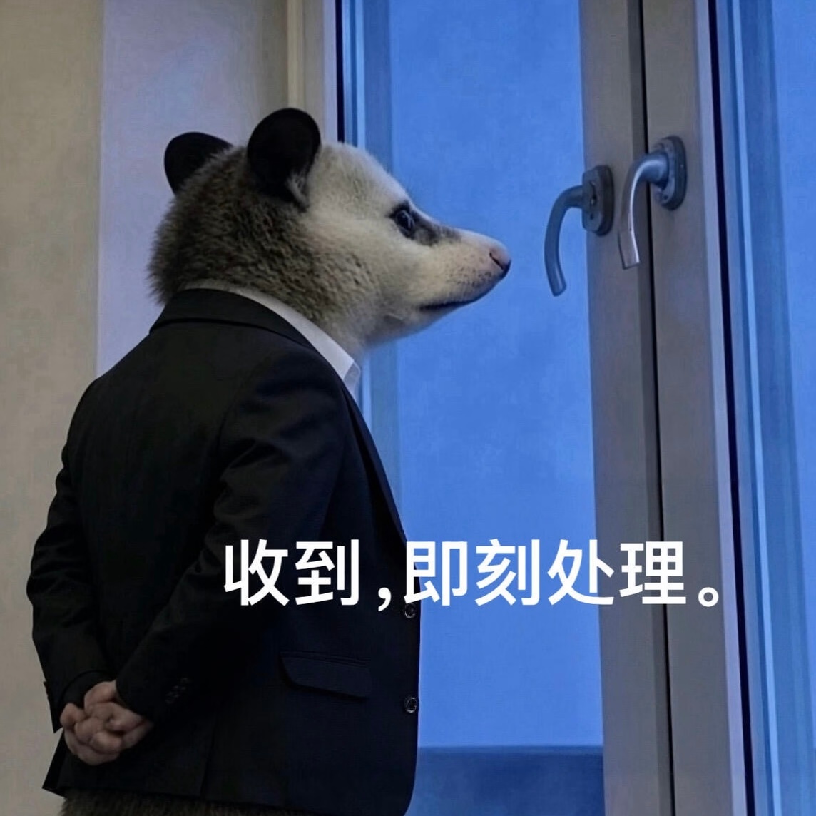 下午要去隔壁市见客户  老板说没我啥事主要一起去撑撑场面我：okok  那我不穿