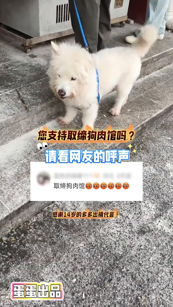 您支持取缔狗肉馆吗？请看网友的呼声。
蛋蛋出品。
取缔狗肉馆，感谢14岁的多多出