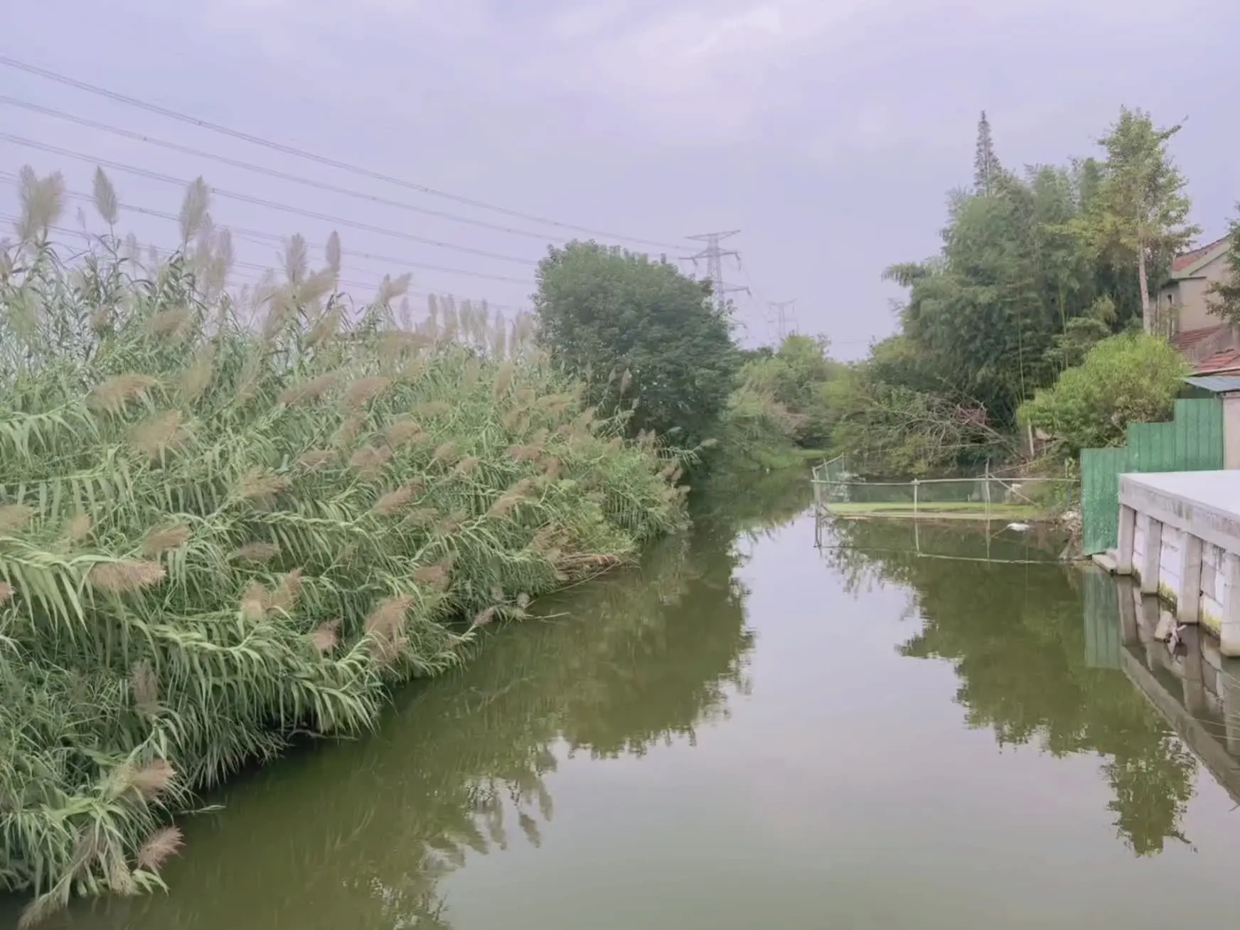 终于回我大英雄了！随手一拍都是风景