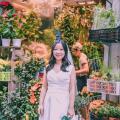 伊娃de数码宝贝