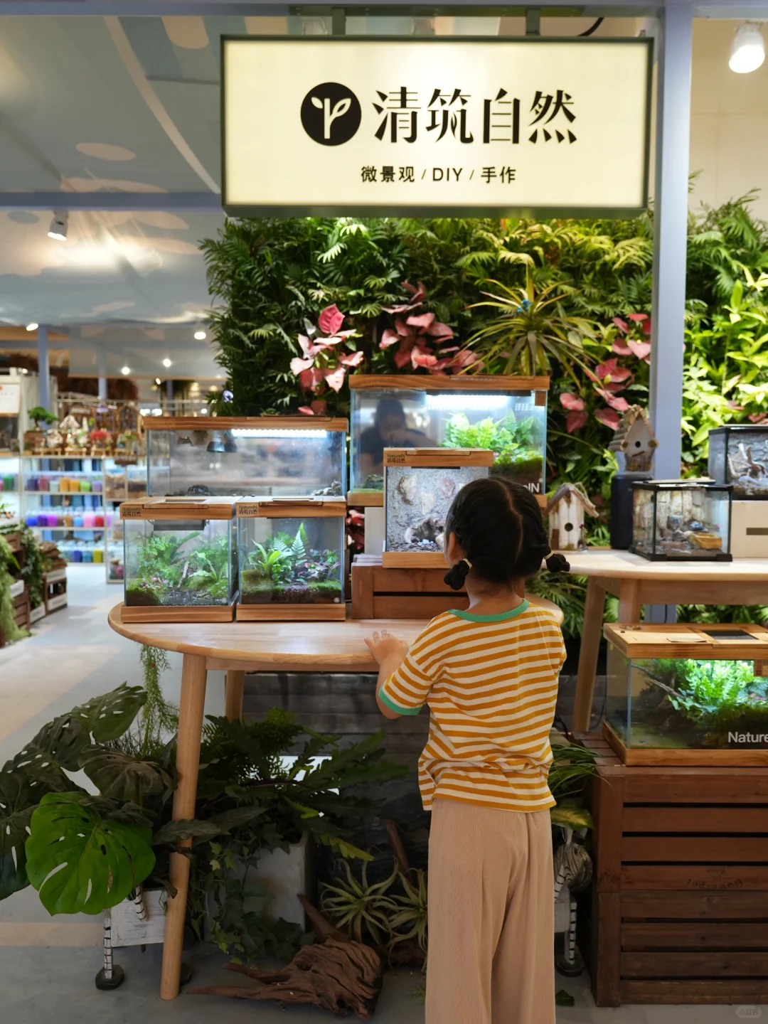 中秋遛娃|妈耶，娃自己给小鱼造了个家