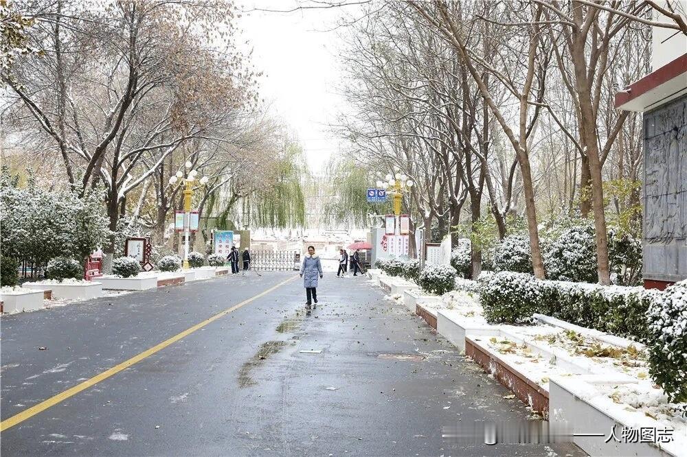 冬日生活打卡季