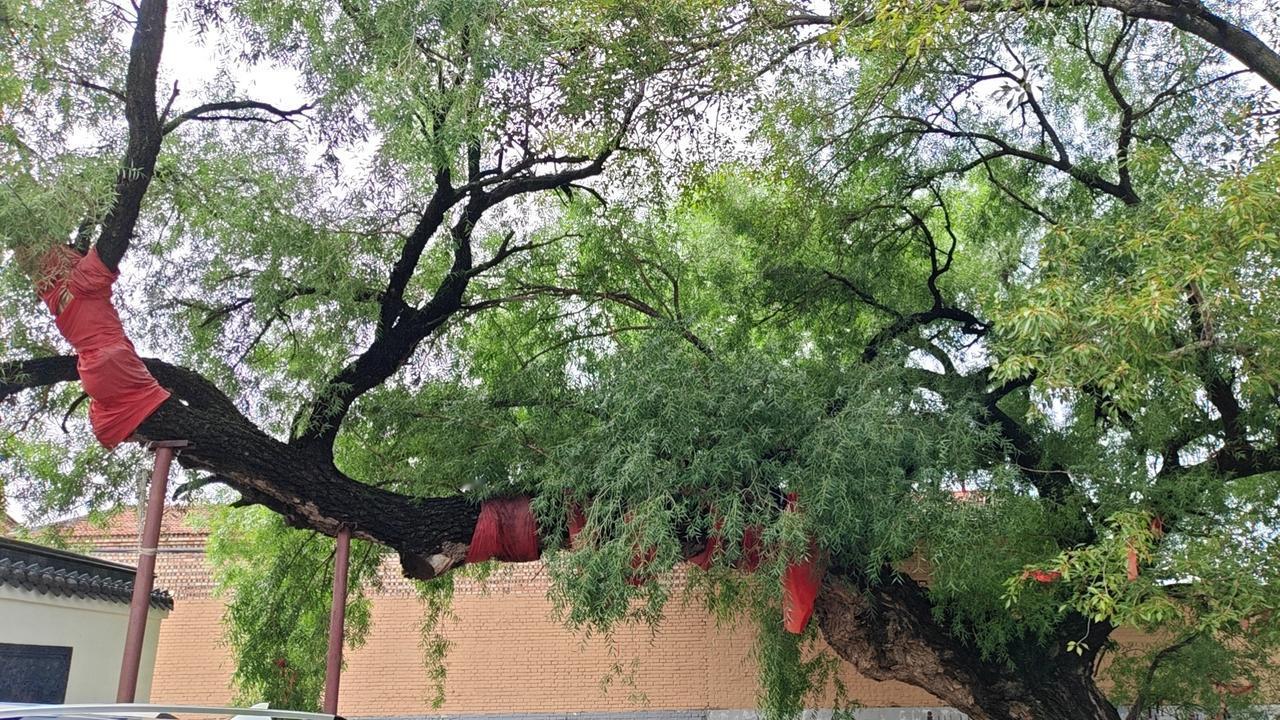 财富如水归海，前提是认清本我

世间求取财富的路径，大致可分为三重境界。
 
下