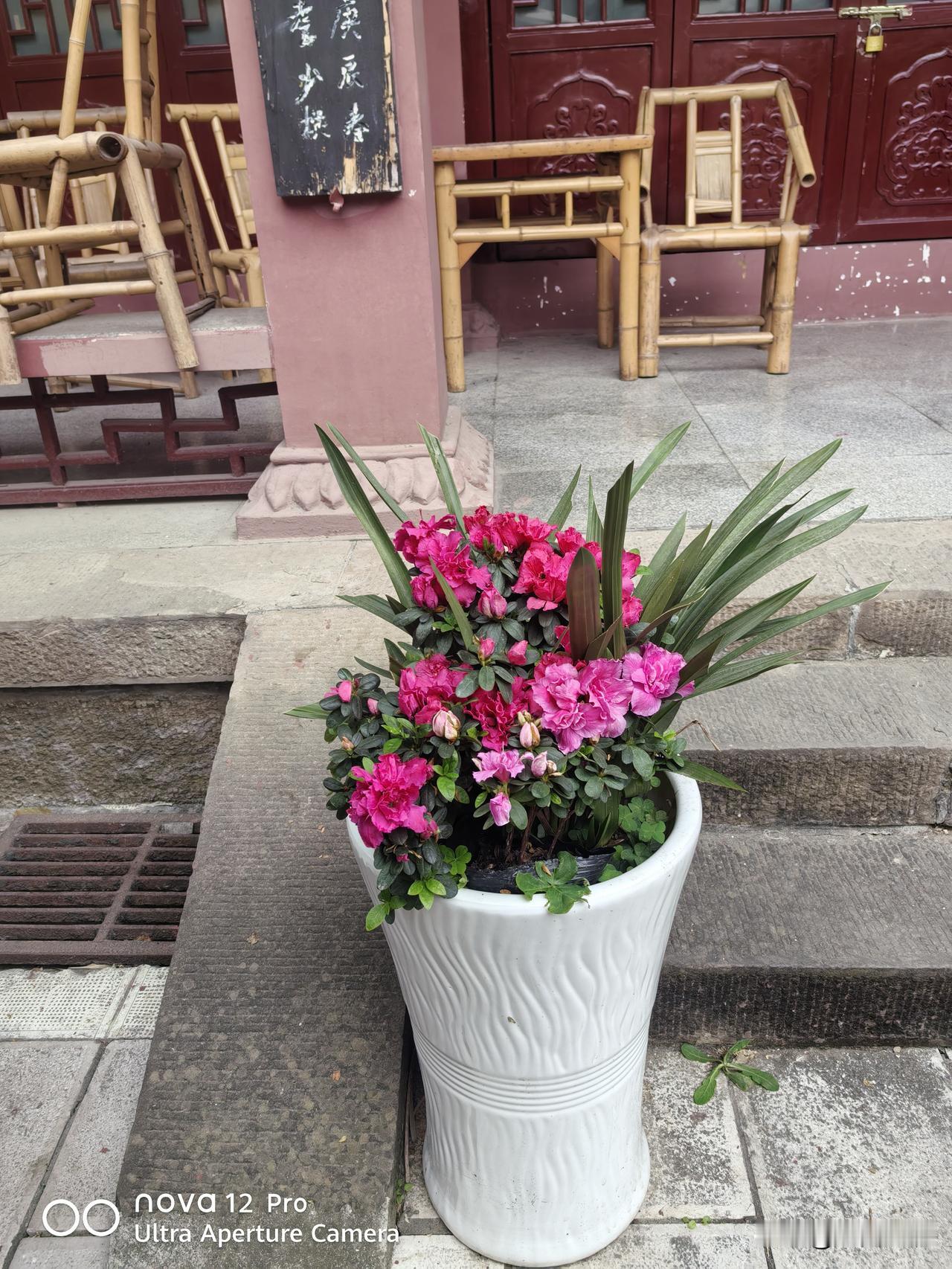 三八节 · 四川多景区免票 游览🌷
 
小川提前祝所有女性朋友
节日快乐，生活