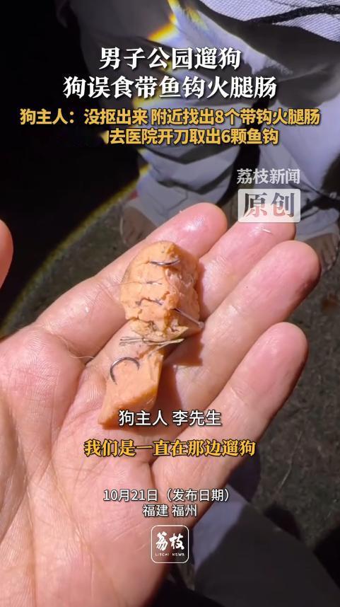 “太缺德了！”10月21日福建福州，一男子去公园遛狗时，发现狗狗在吃什么东西，他