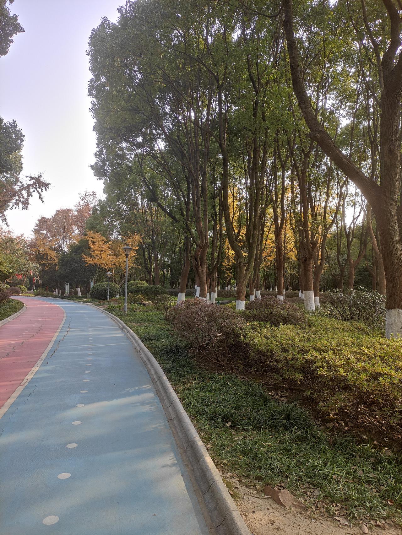 紫微斗数看自己的小孩会不会读书？

打开命盘，首先要找两个宫位，一个是父母宫，一