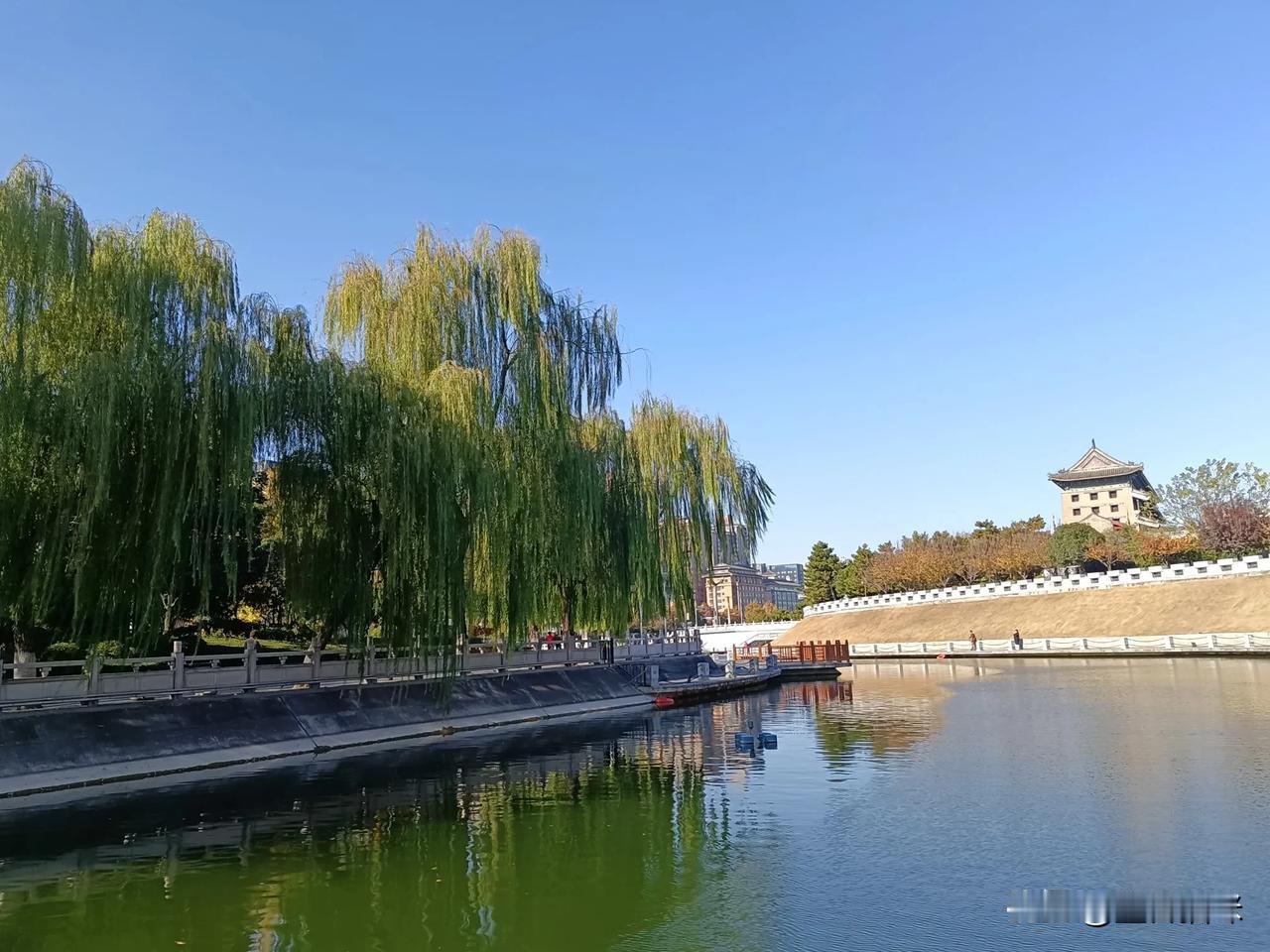 静谧河畔，垂柳拂水，古韵悠然，暖阳高照。随手拍初冬景色