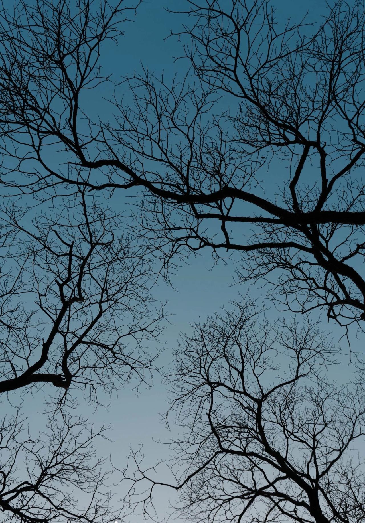 你手机里的天空什么样子？音乐治愈