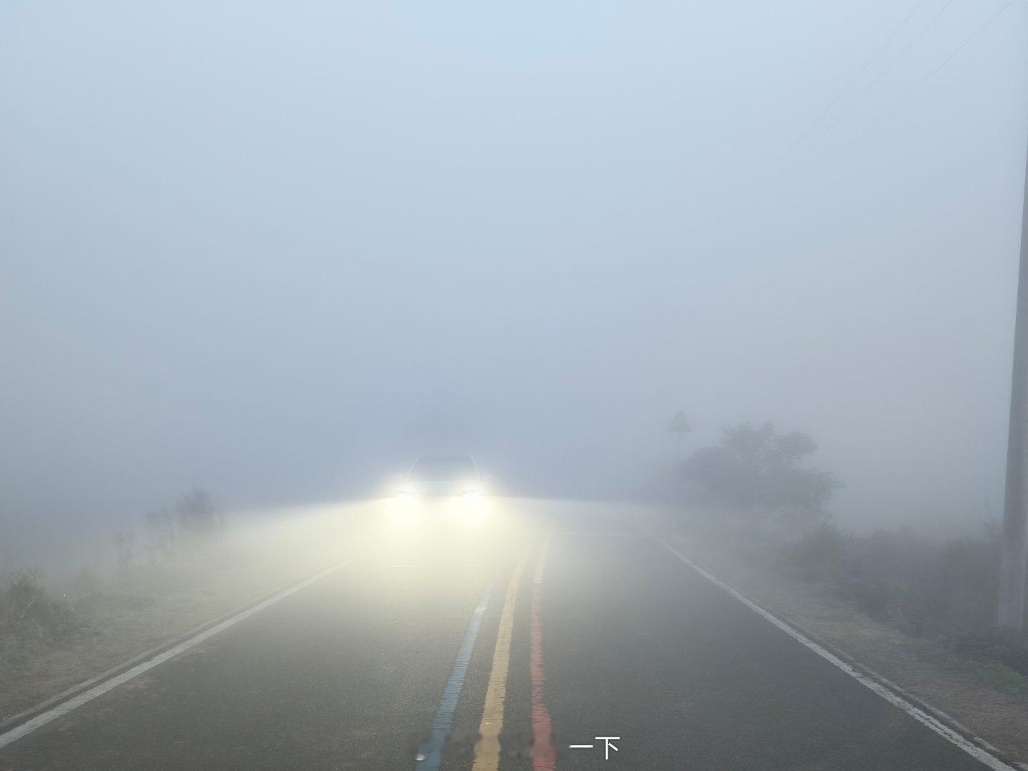 早鸭！周末大清早陪媳妇儿来小岭南看粉黛，没想到这么大雾，伸手不见五指那种，我的问