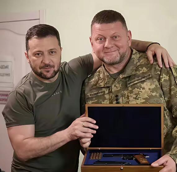 瓦列里·扎卢日内前乌克兰武装部队总司令，出生在军事世家，对作战很有一套，如前期他