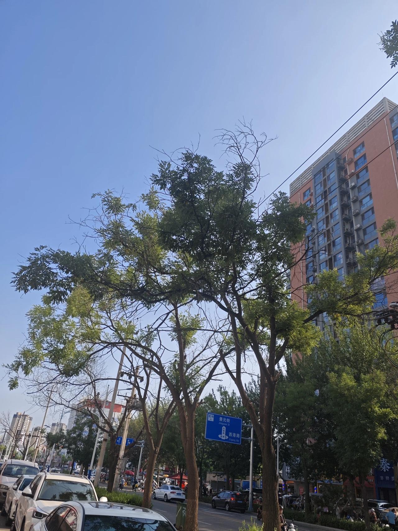 分享蓝天白云，随手一拍尽是景