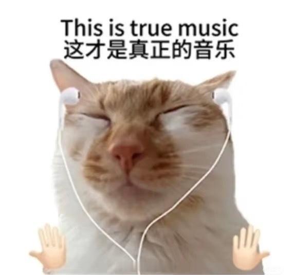 现在才用上导入歌单这个好功能建议秦始皇统一一下音乐app的版权（不是 