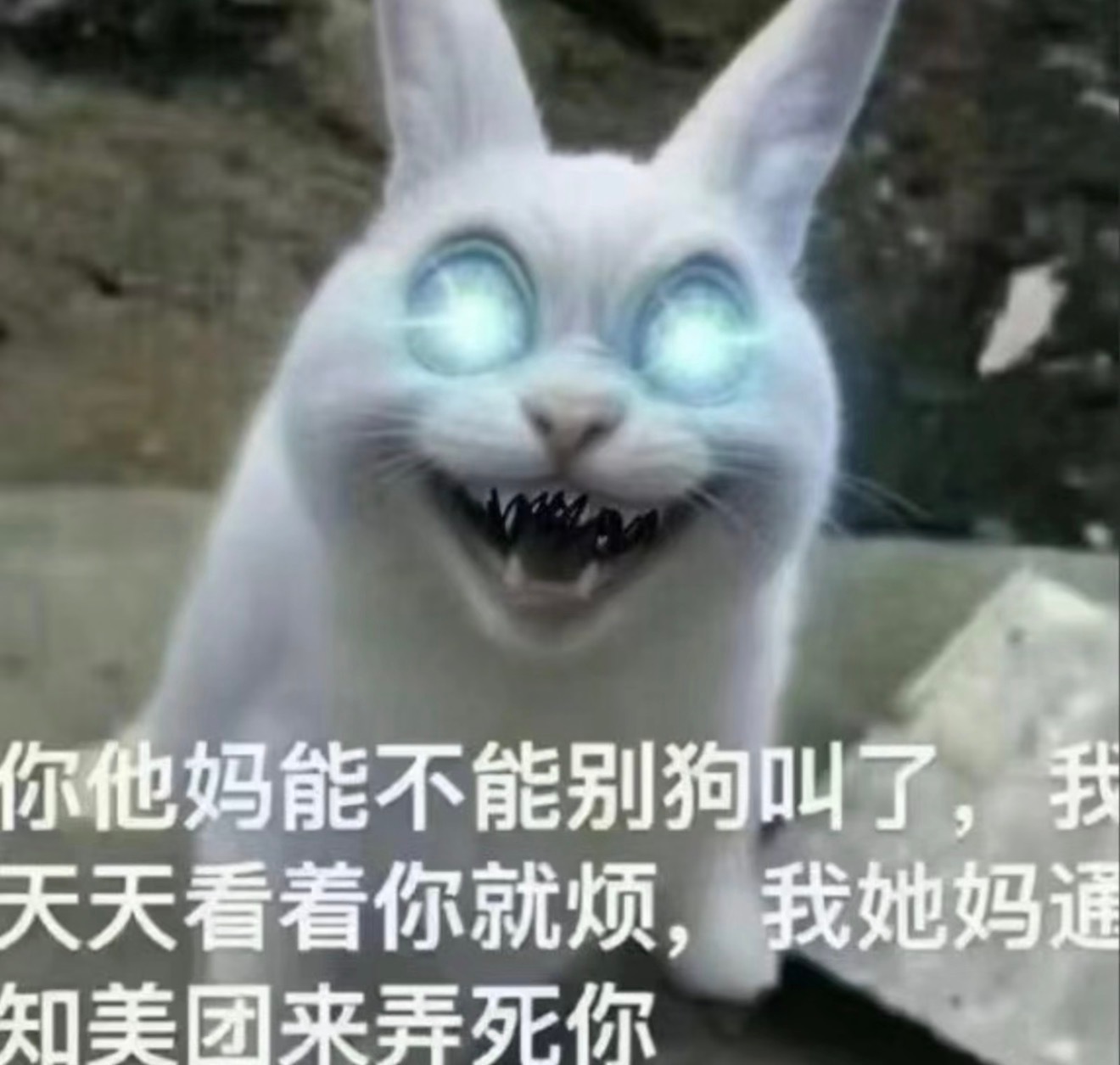 分享图片 