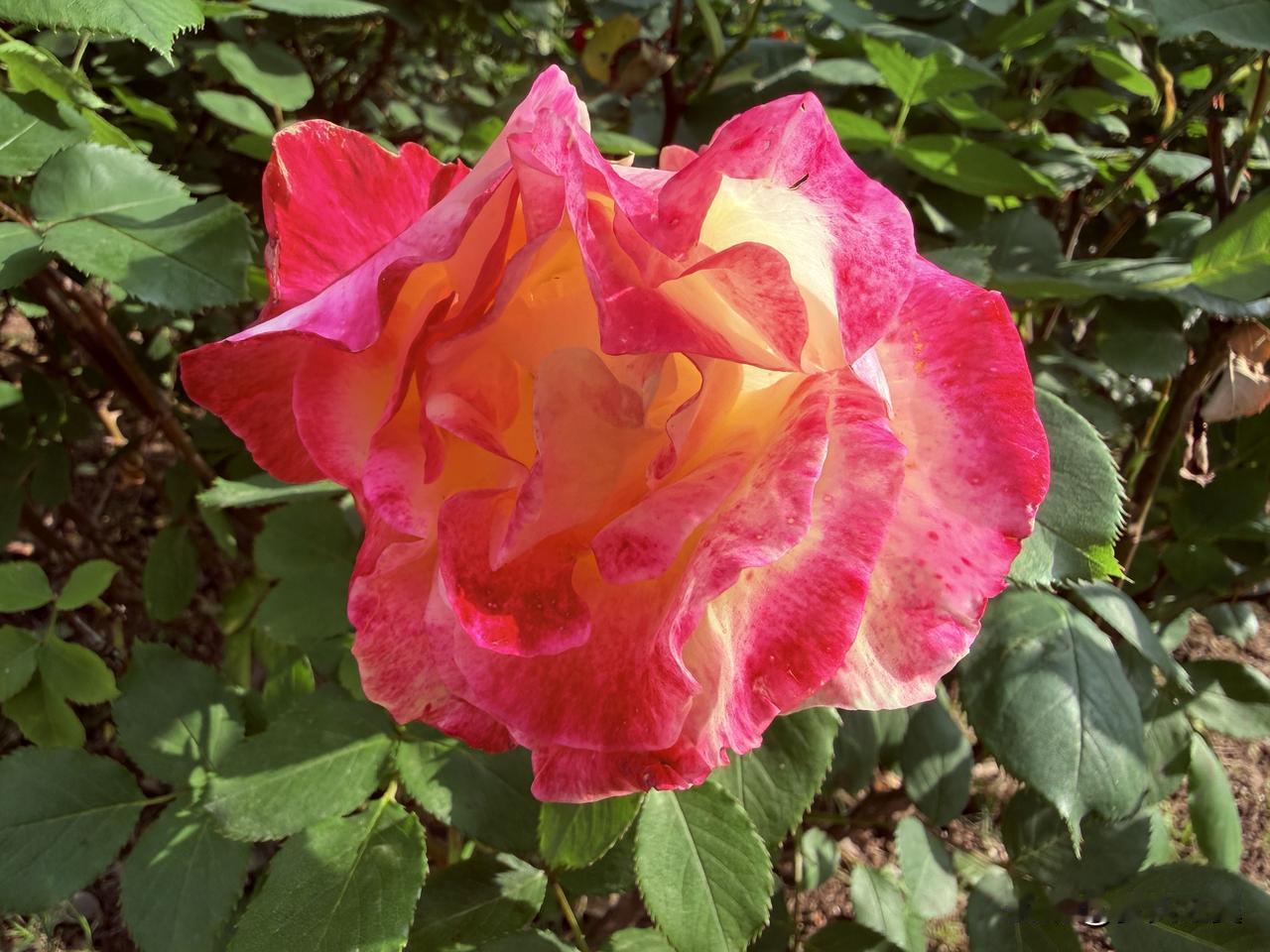 【小对联】
上：筋骨；
下：……？