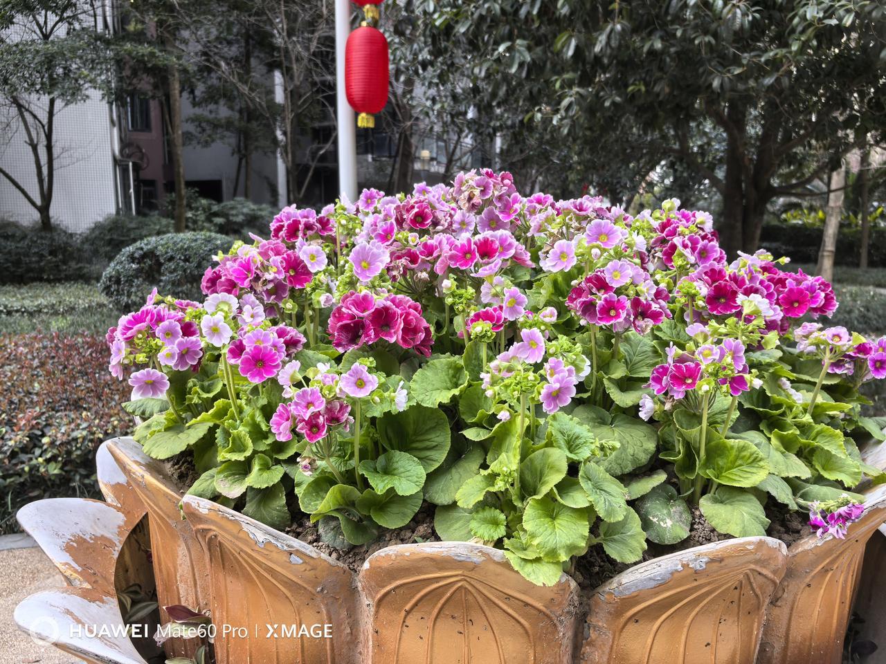 人这一生，很多东西都是过眼云烟。财富名利，生不带来死不带去；爱恨情仇，也终会随风