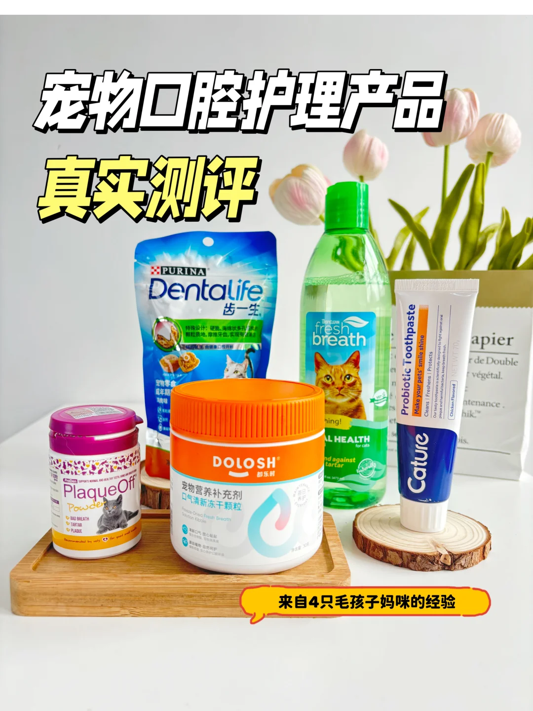 猫咪口腔护理产品 真实测评！