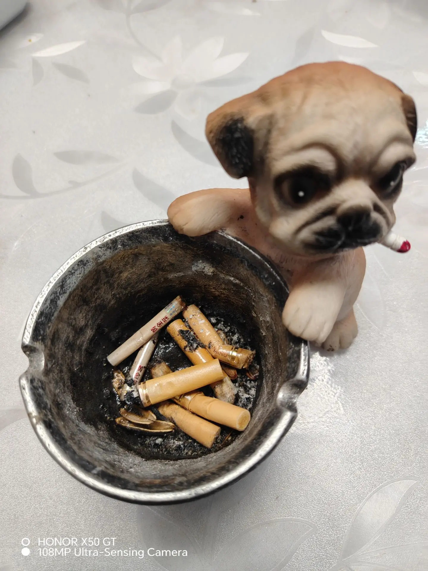 喜欢狗，烟灰缸也整个狗烟灰缸狗