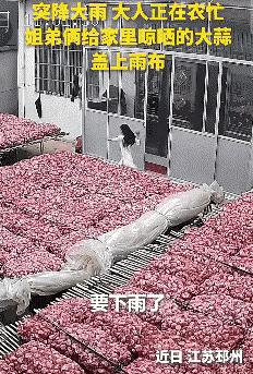 近日，江苏两个孩子立大功了！这一对年幼姐弟在暴雨前的一通操作获全网点赞。网友：“