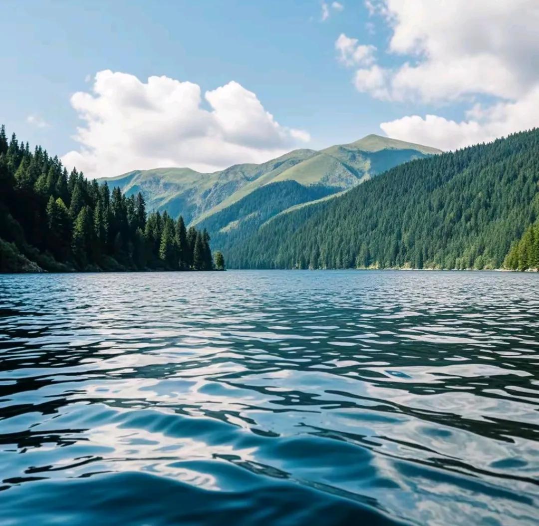 上联：水上千舟渡，诚邀下联山中万木春