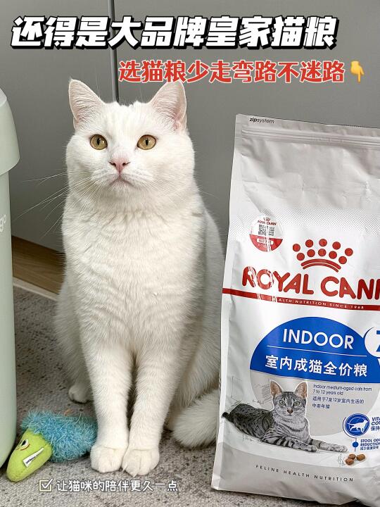 给猫咪最好的 让它的陪伴更持久💗