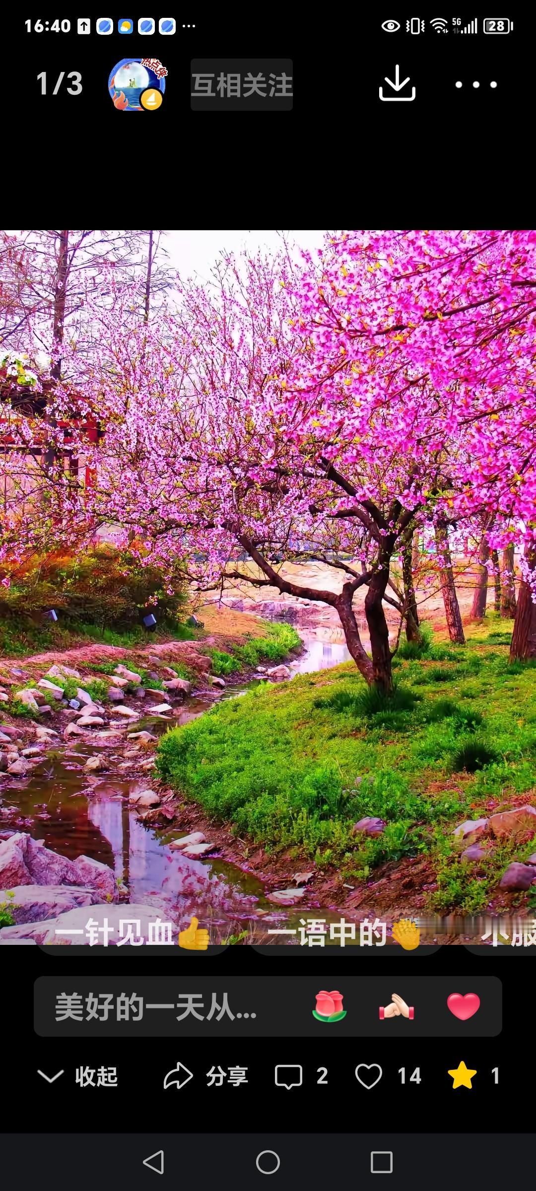 七言诗～祝我全家都美好

山诃依旧人己老，
佘生只保身体好。
睡眠好。三歺好，