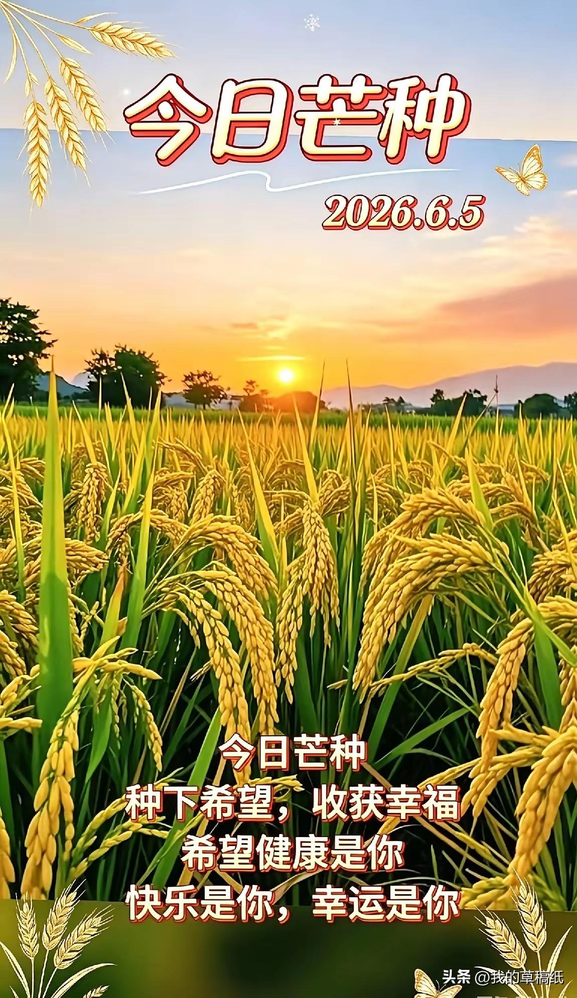 西宁今天晴得爽快。我翻看些消息，南方麦浪稻花香，北方开镰割麦忙。可我们这里呢？青