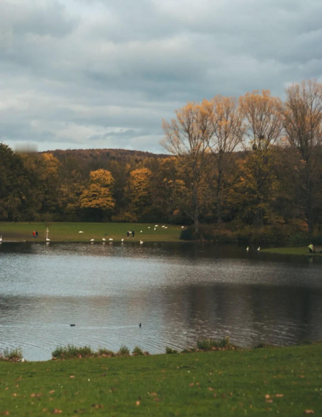 11.6 波恩要去外管局的朋友最近快点冲
效率高的出奇
我6.30才到排到30个