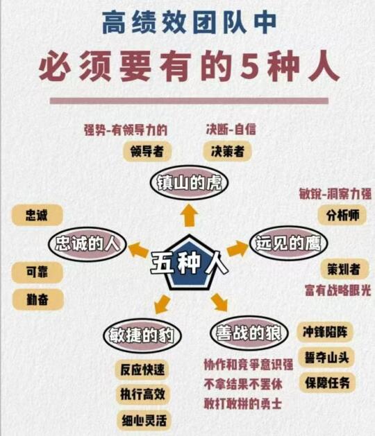 团队动物大揭秘！你是哪一只？