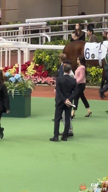 这挺拔的身姿，丝丝不乱的大背头，精致有型，笔挺的西装，手牵20多岁的娇妻，矫健的