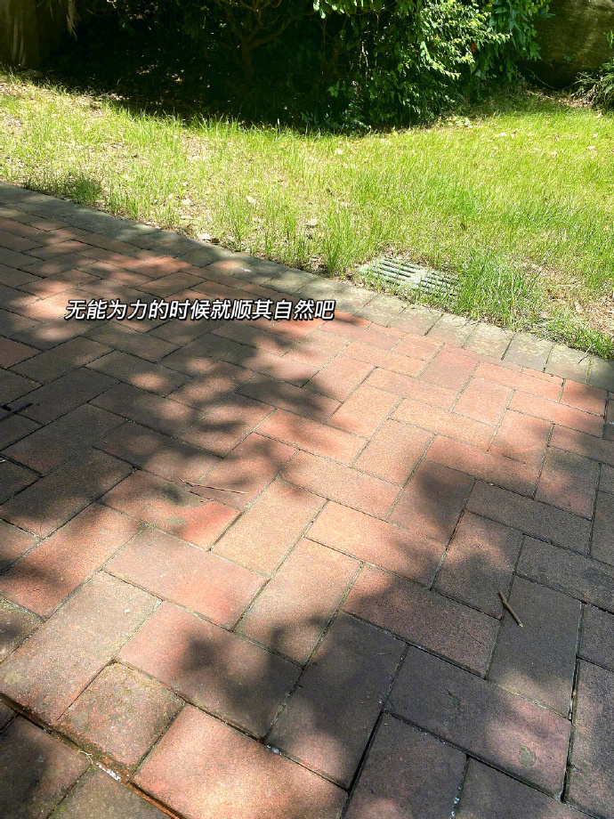 ℍ𝕒𝕡𝕡𝕚𝕟𝕖𝕤𝕤  没有坏情绪的生活就是幸福的🫶🏻 