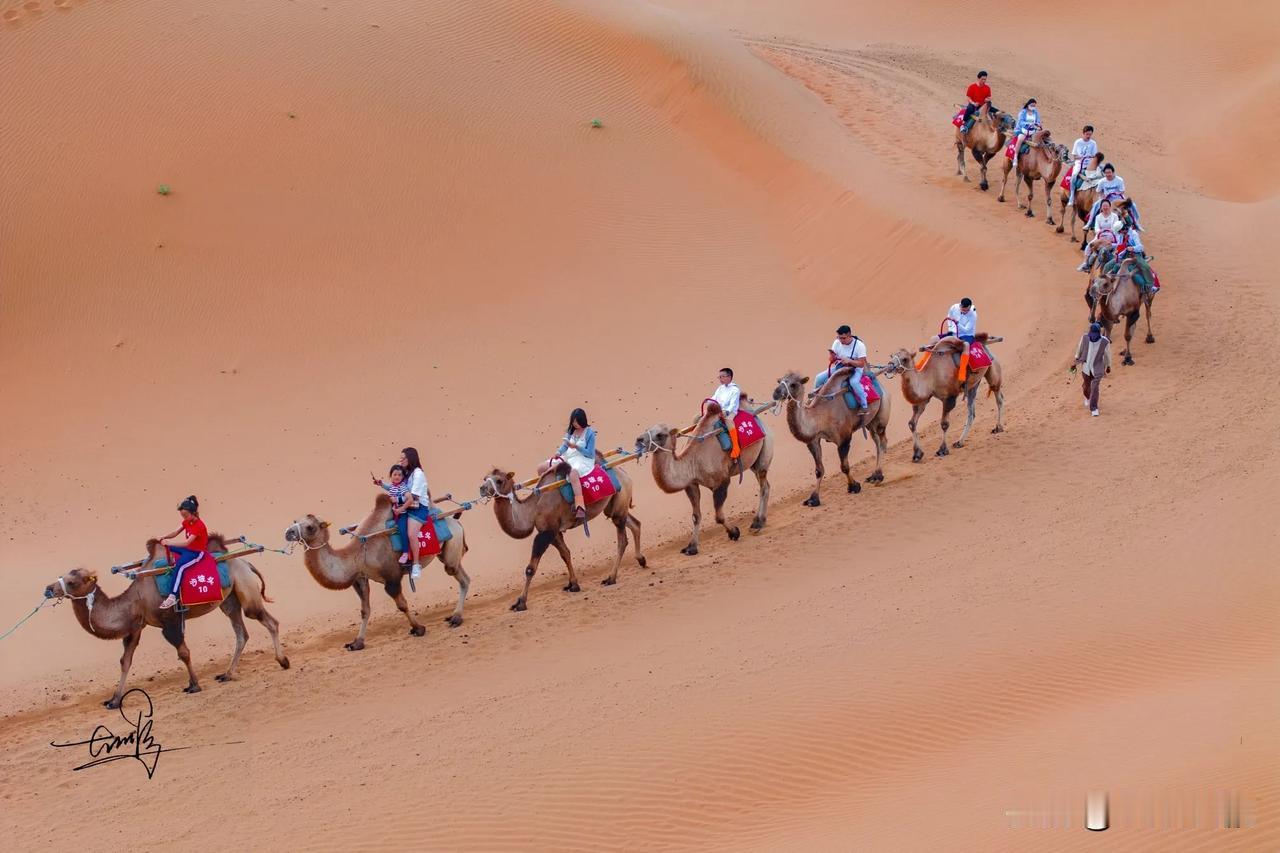 🏜️沙坡头 | 一场别样的沙漠之旅 🏜️

🌄相比于看山水，沙漠给人的体验