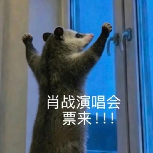 票来！！！🙏 ​​​