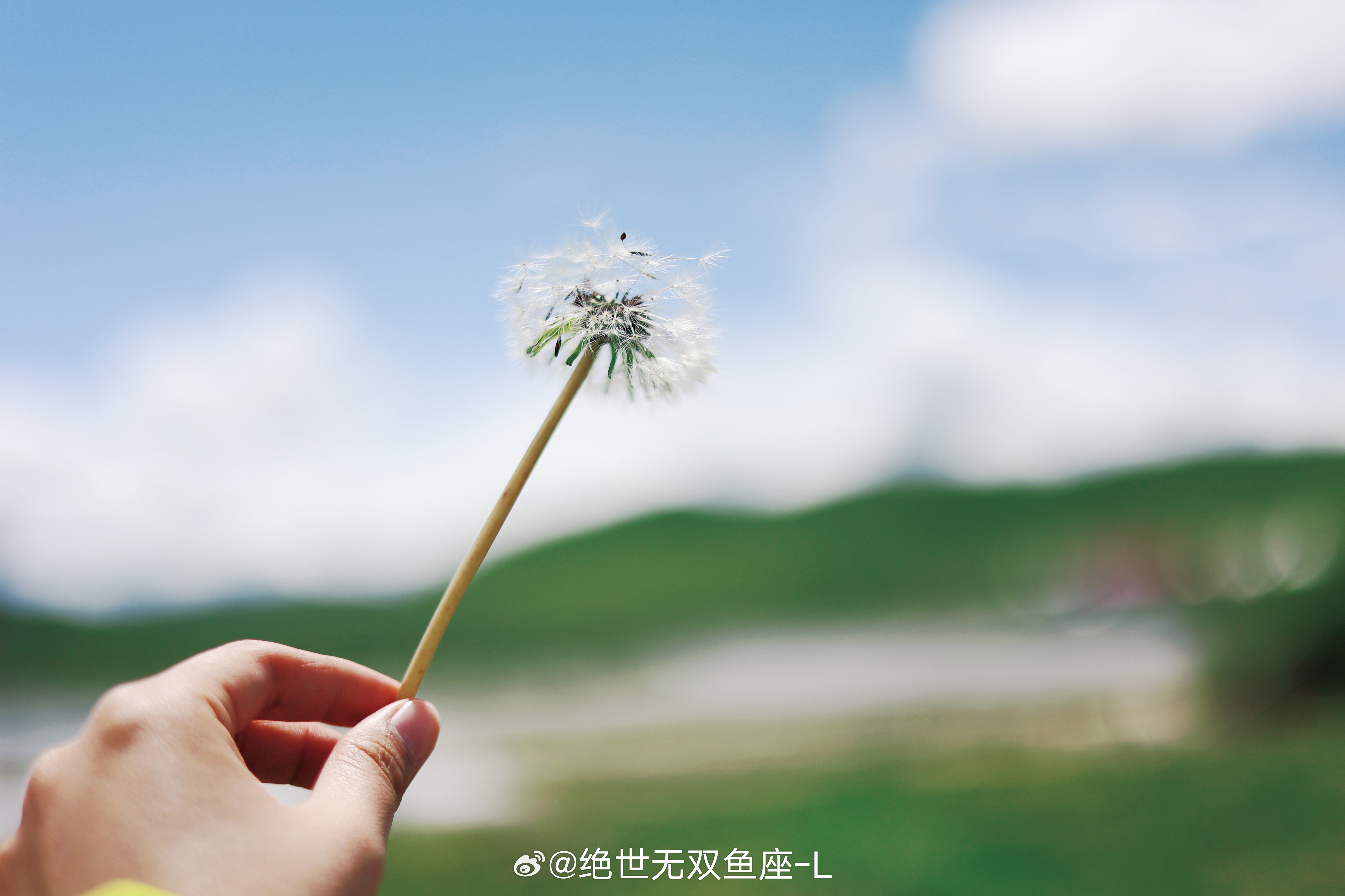 川西童话般景色🖼️ 