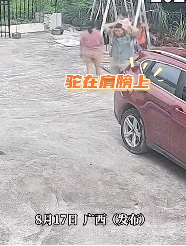 [微风]广西，一爸爸带着自己女儿在其脖子上骑大马，哪知上一秒爸爸还稳着女儿向前走