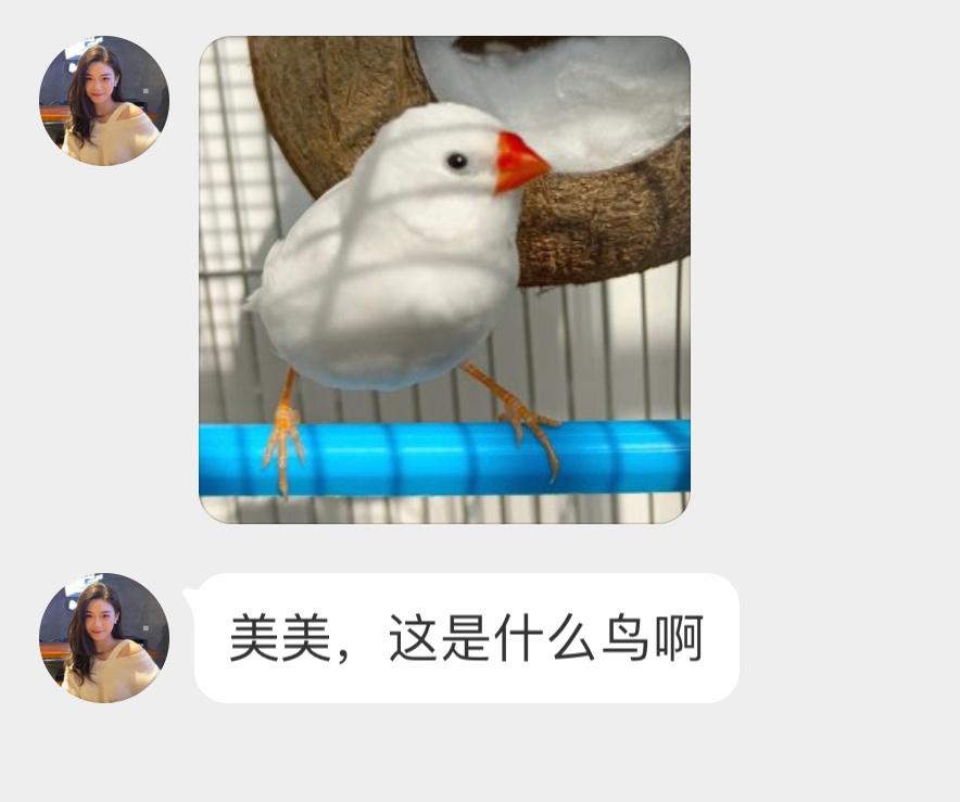 填空题环节～真好，朋友送我一对________！ ​​​