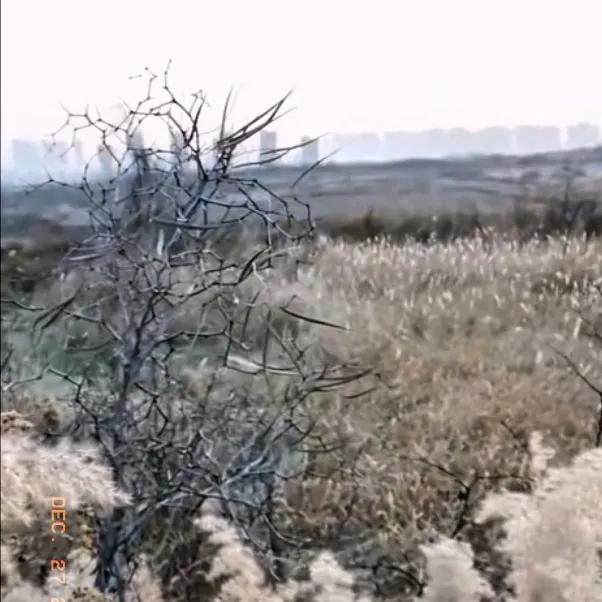 靠自己的双手挣钱，怎么会丢人呢！我从事家政工作，光明正大地花自己挣的钱，心里很踏