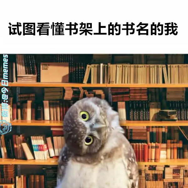 排版（9gag）今日meme 今日memes