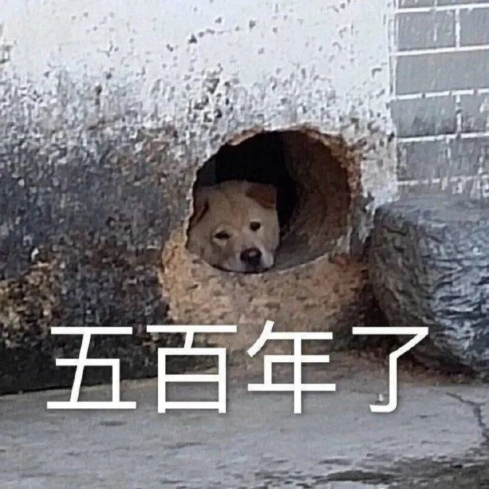 最近收集的表情包 ~~ [举车] ​​​