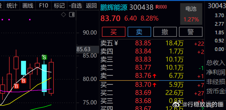 鹏辉能源  近期几年从来没有负我一次，是我负了鹏辉持续的恩宠！！！