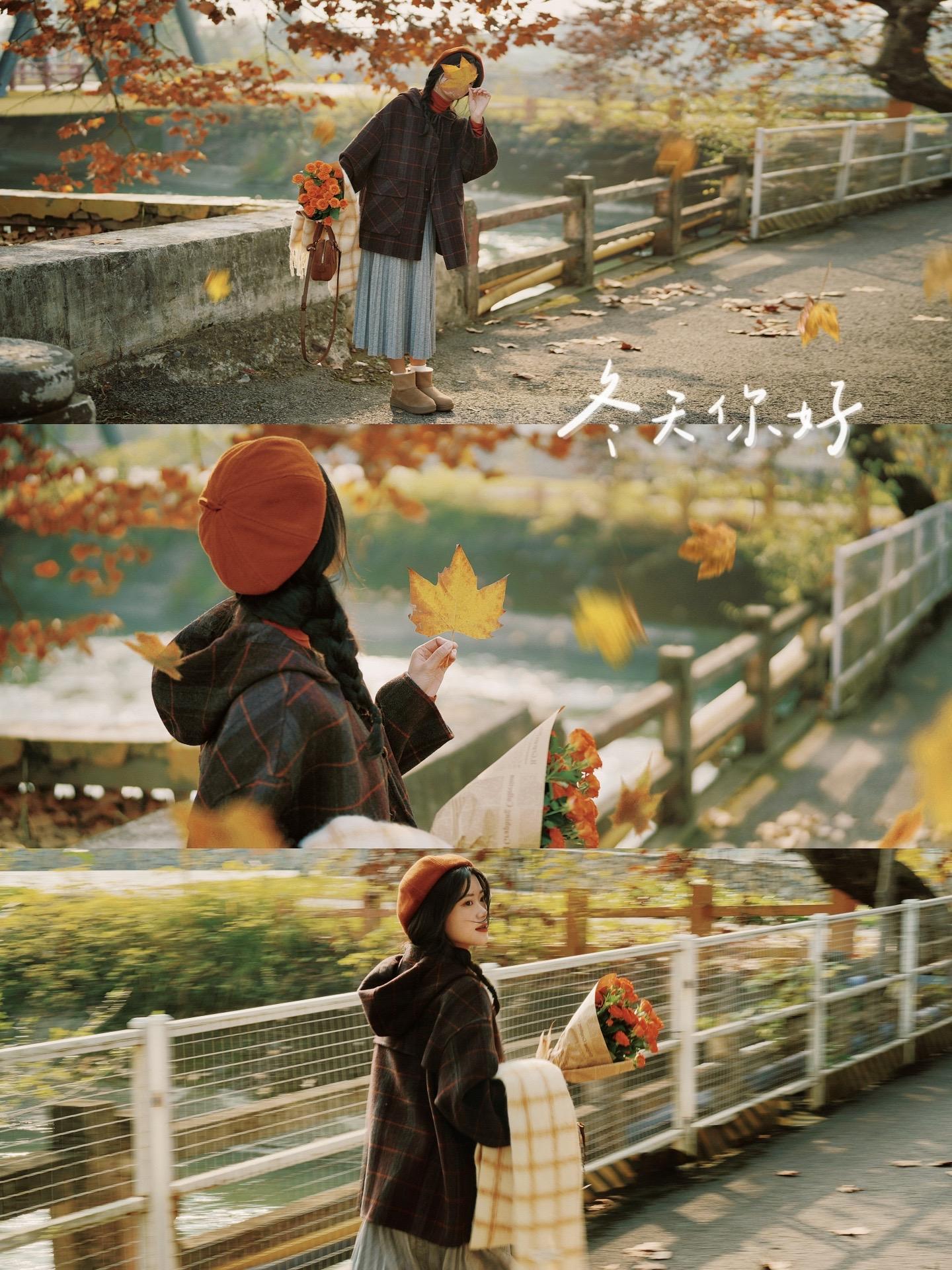 梧桐落叶拍出氛围感🍁。初冬的氛围感 是梧桐落叶给的～ 用镜头记录季节...