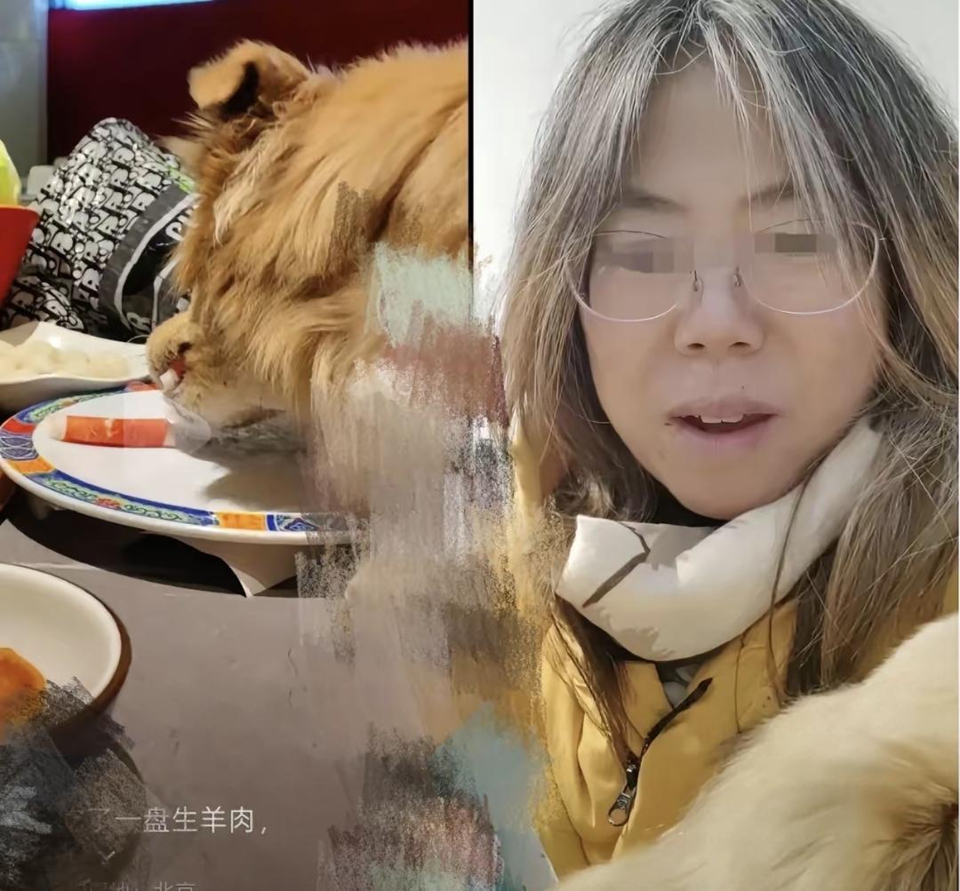 一名女士带宠物狗到涮肉馆吃饭后，让狗直接上桌舔光了盘子，还在网上发视频夸自家狗“