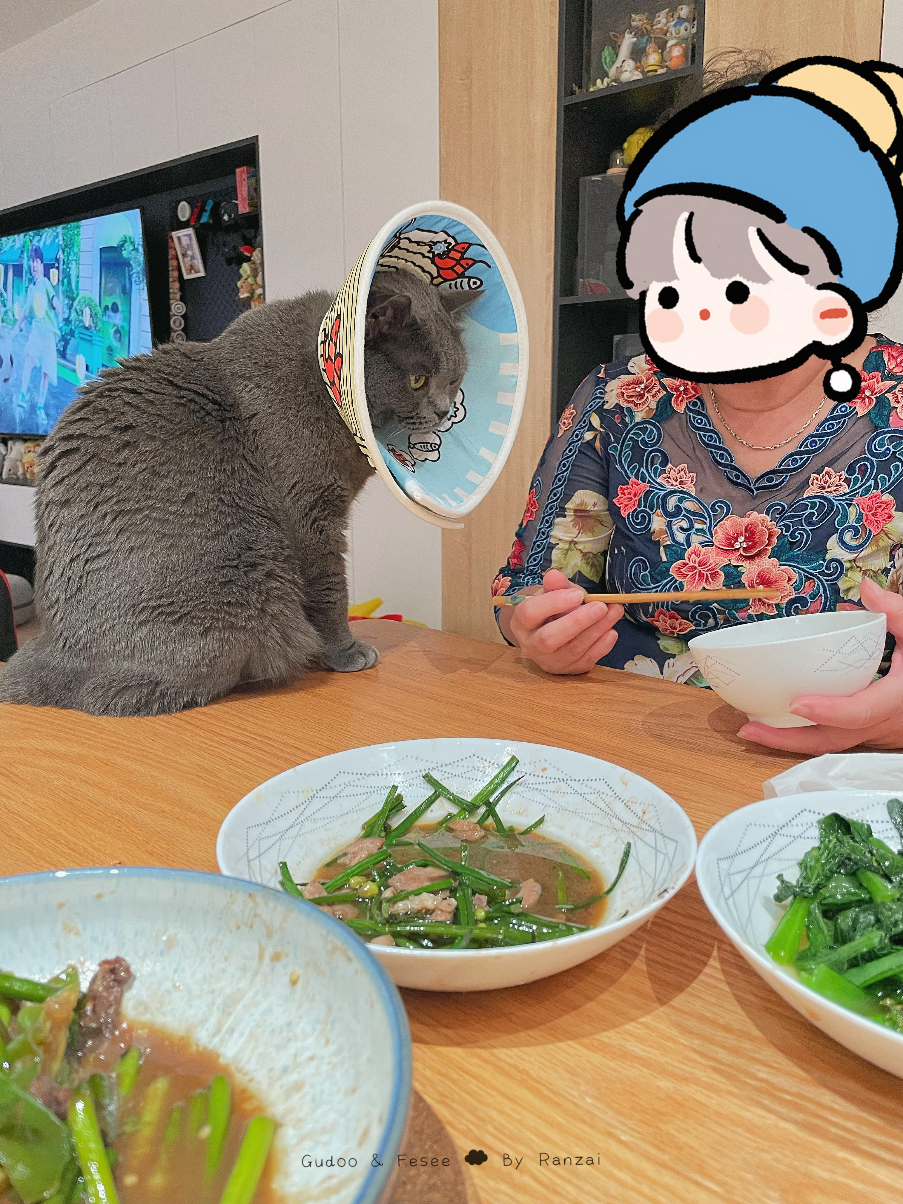 菇冬真的把姥姥头当做人形喂食机了，吃饭都要坐在旁边一直盯着她，我妈就给他看饭碗说